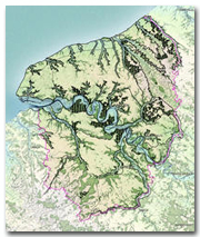 Carte des forêts