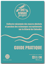 Illustration : Guide "Rivage propre"