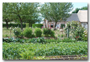 Le jardin potager du clos-masure