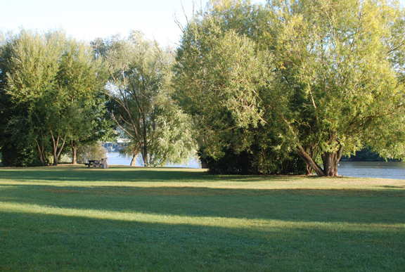 Les espaces publics de bord de Seine à Vernon : une gestion très jardinée des bords de Seine, une perte de biodiversité des espaces naturels humides . (2009 - commune de Vernon)