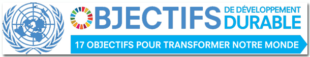 Logo : Objectifs de développement durable