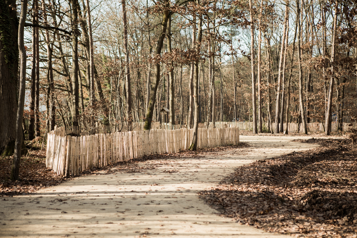 Aire de stationnement forestier (Crédits photo : Rebecca Valentic - DREAL Normandie)