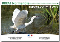 Page de garde du rapport d'activité 2016