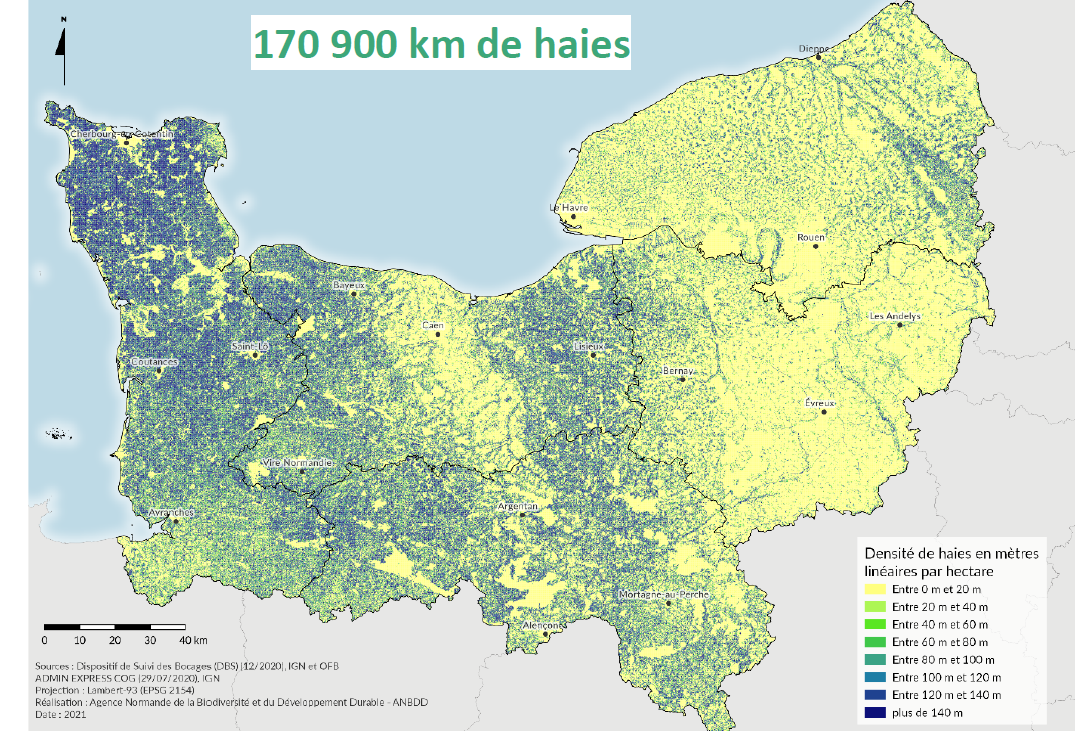 Densité de haies en métres linéaires par hectare