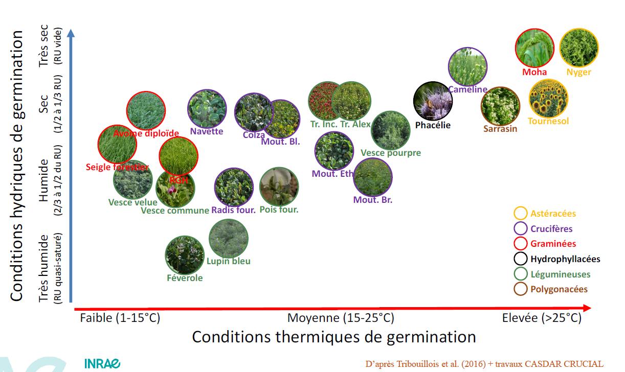Conditions hydriques et thermiques de germination du couvert