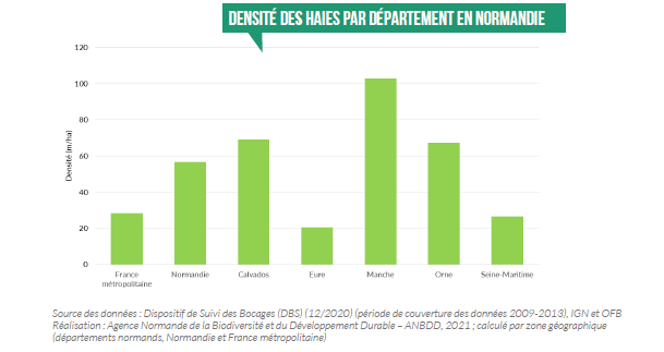 Densité des haies par département en Normandie