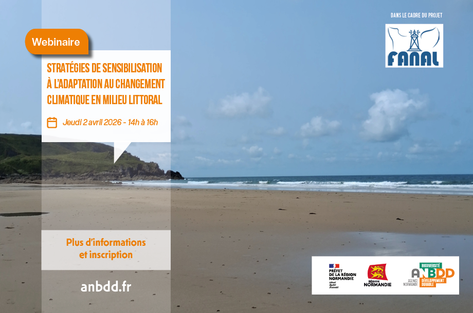 Illustration webinaire - Stratégies de sensibilisation à l’adaptation au changement climatique en milieu littoral
