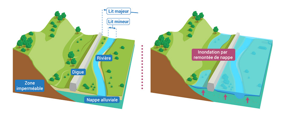 Schéma de l’inondation par remontée de nappe (crédits Office français pour la biodiversité / Réalisation Matthieu Nivesse (d'après OIEau), 2018 (LO 2.0))