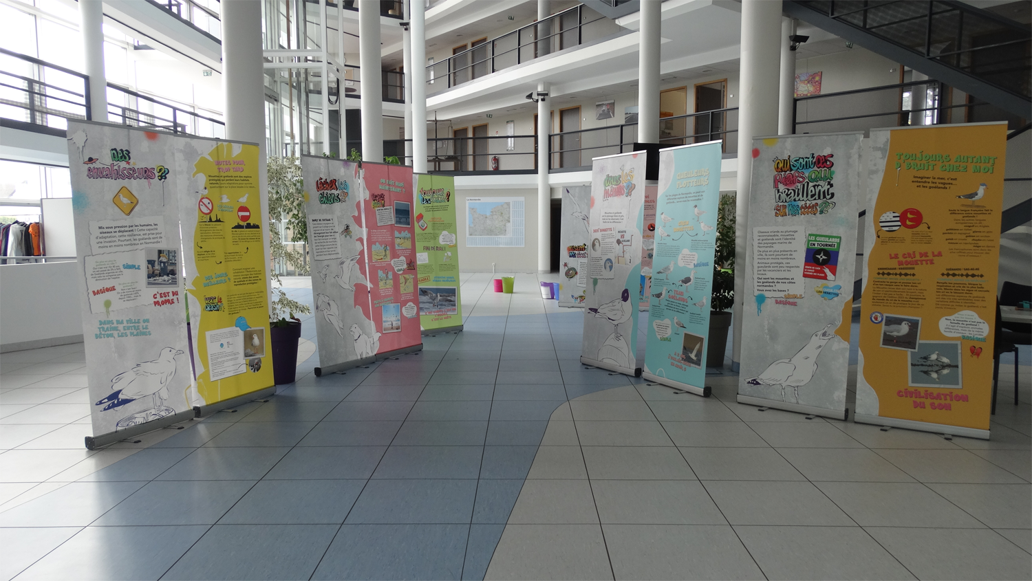Exposition « Qui sont ces piafs qui braillent sur nos têtes ? » dans le hall de la DREAL de Caen