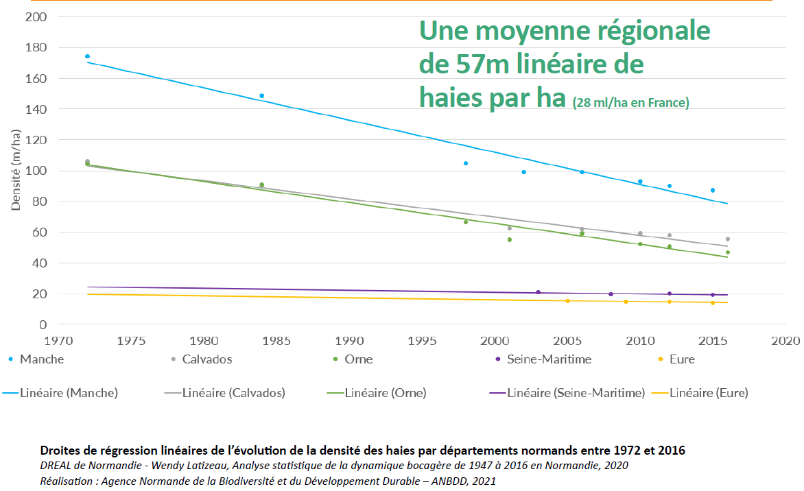 Une moyenne régionale de 57m linéaire de haies par ha (28ml/ha en France)